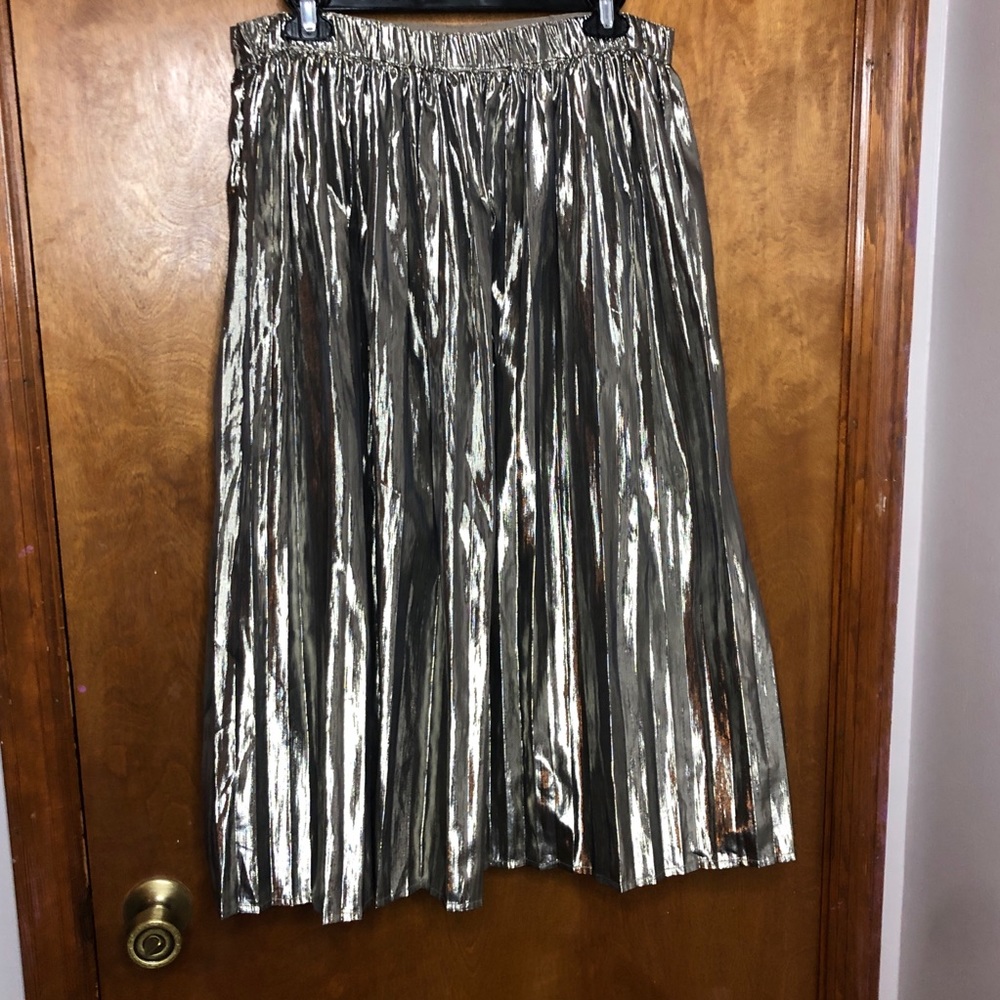Silver pleated skirt. Never worn.